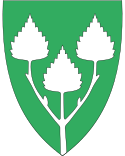 Birkenes Kommunevåpen