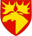Namsos Kommunevåpen